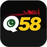 Q58 Game