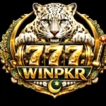 Winpkr777 Game